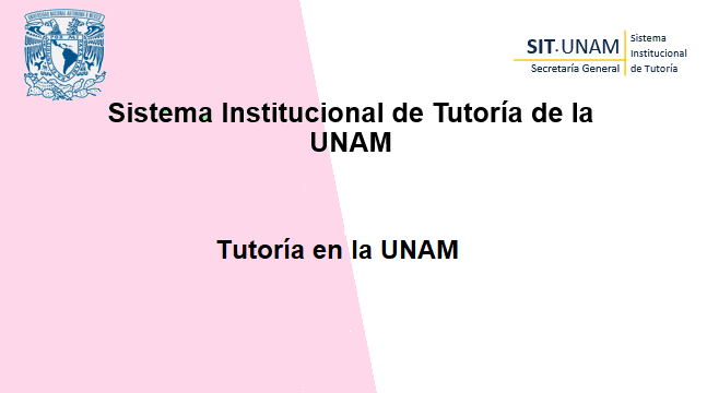 Tutoría en la UNAM
