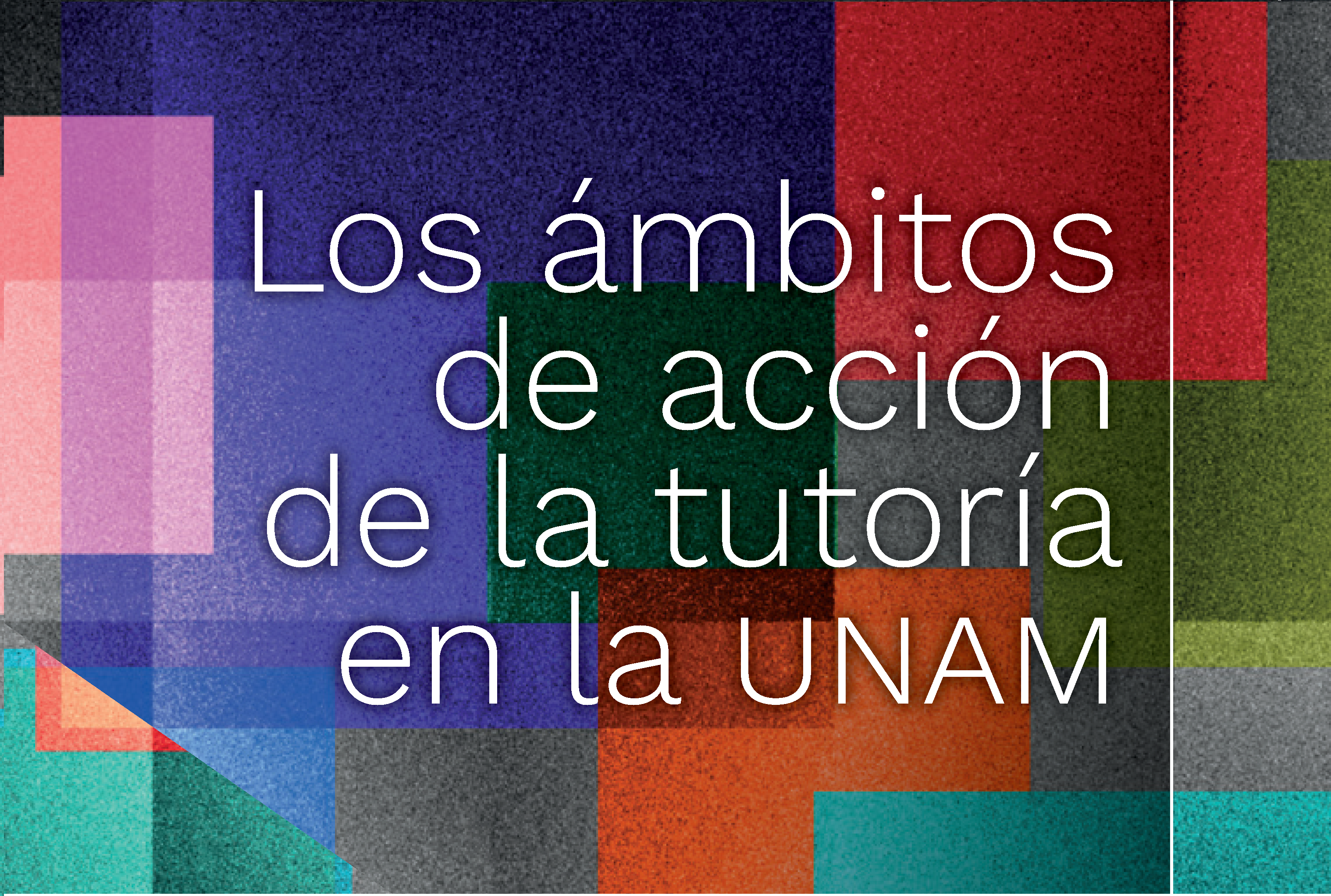 Los ámbitos de acción de la tutoría en la UNAM